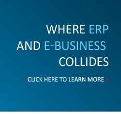 Where ERP and E-Business collides